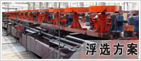浮選方案